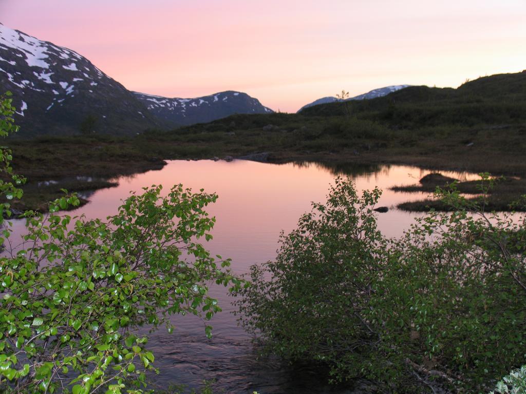 Hov Hyttegrend Viksdalen Zewnętrze zdjęcie