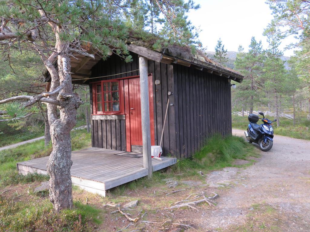 Hov Hyttegrend Viksdalen Zewnętrze zdjęcie